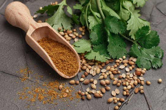 Coriander Powder